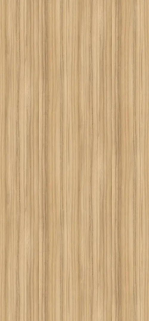 Coco Bolo