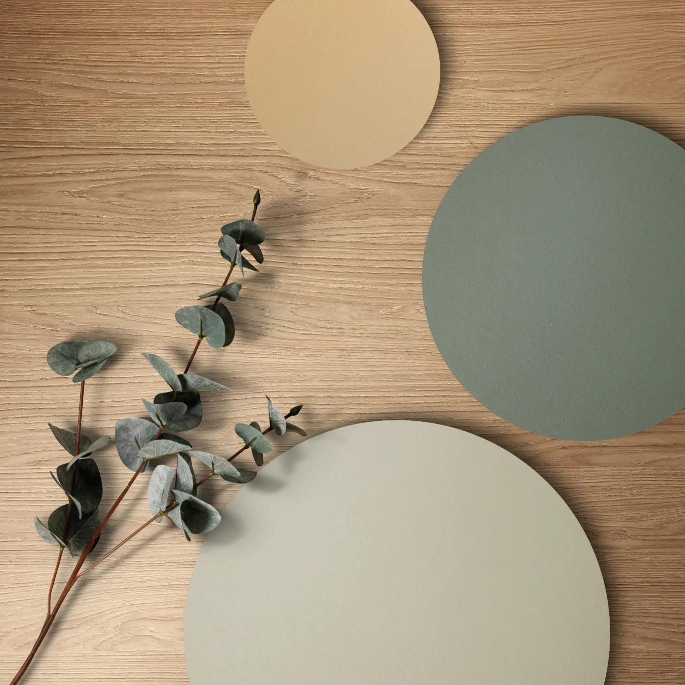 Colour Harmony
