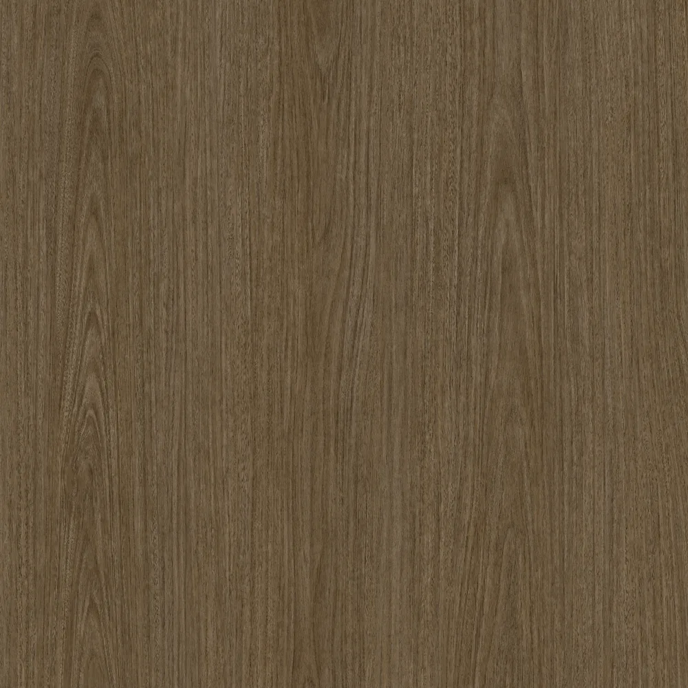TREND EUCALYPTUS
